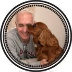 Mike Noland - @mikenolandrealtor - Instagram