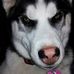 Micheal Norfleet - Facebook