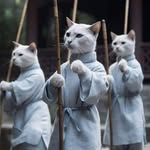 Mike Nowak - @xiombarg - Instagram