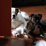 Mike Null - @null1974 - Instagram