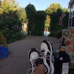 Mike Null - @mike.null.351 - Instagram