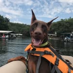 Mike Oberle - @moberle1027 - Instagram