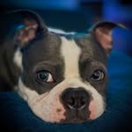 Mike Robert - @mike_robert_813 - Instagram