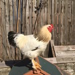 Mike Oehler - @mike.oehler.754 - Instagram