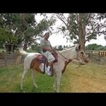 Mike Ojeda - @mikemojeda - Instagram