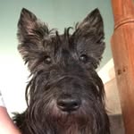 Mike Olin - @mikeolin615 - Instagram