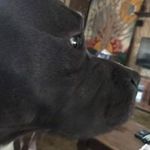 Mike Olinger - @olinger.mike - Instagram