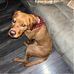 Mike Olson - Facebook
