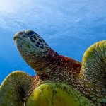Mike Olson - @mikeolson_photography - Instagram