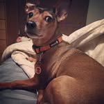Mike Ooten - @mikeooten - Instagram