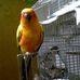 Mike Ooten - Facebook