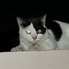 Mike Minor Man - @mikeminorman - TikTok