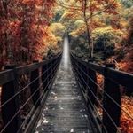 Mike Ostrander - @ostrander.mike - Instagram