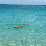 Mike Ostrander - @mikeostrander11 - Instagram