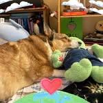 Mike Ott - @otter2274 - Instagram