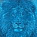 Michael Overholt - Facebook
