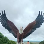 Mike Pablo - Facebook