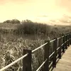 Mike Pacheco - @mikepacheco52 - TikTok