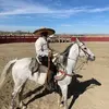 pachecomike0 - @pachecomike0 - TikTok