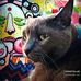 Mike Pagan - Facebook