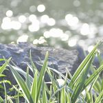 Mike Pang - @pang5126 - Instagram