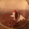 mikeparentin - @mike.parentin - TikTok