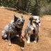 Mike Parrish - Facebook