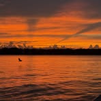 Mike Parrish - Facebook