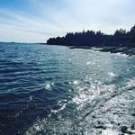 Mike Parrish - @mike_parrish23 - Instagram