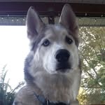 Mike Parsley - @another_mike_parsley - Instagram