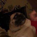 Mike Partain - @mike.partain.79 - Instagram