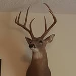 Mike Paschal - @mike.paschal.75 - Instagram