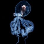 Mike Paulson - @mike.paulson.5205 - Instagram