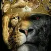 KING P... - @mikepeacock72 - TikTok