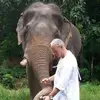Mike Peacock - @mike.peacock8 - TikTok