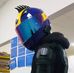 Michael Peake - Facebook