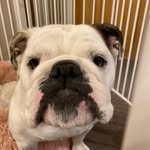 Mike Peake - @mikepeake123 - Instagram