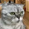 peat mike - @peat.mike - TikTok