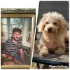 mikepeden132 - @mikepeden132 - TikTok