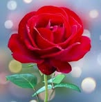 Mike Peller - Facebook