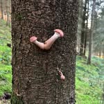 Mike Peller - @gringo_j - Instagram
