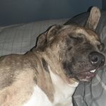 Mike Pendergrass - @mike.pendergrass.92 - Instagram
