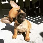 Mike Pendergrass - @ramboo1961 - Instagram