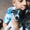 CarlosARadilla - @mr.mikepepinilloscorp - TikTok
