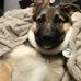 Mike Pepin - Facebook