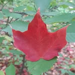 Mike Pettit - @mikepettit7 - Instagram