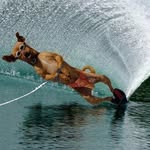 Mike Pettit - @thecheesedude112 - Instagram