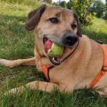 Micha-Mike Pfister - @michamikepfister - Instagram