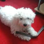 Mike pfister - @mk_pranker - Instagram