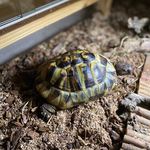 Mike Pfister - @pfister_mike - Instagram